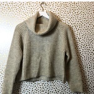 Zara Knit Turtleneck Sweater